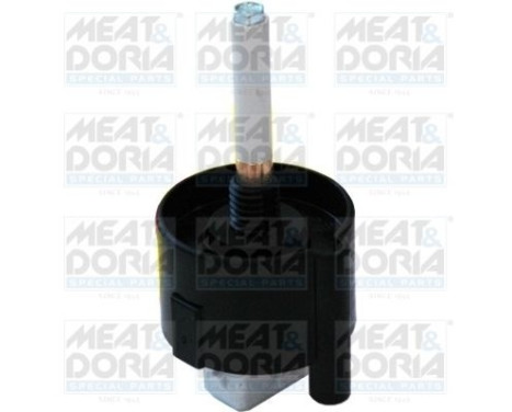 Water sensor, fuel supply