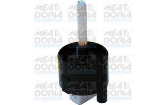 Water sensor, fuel supply