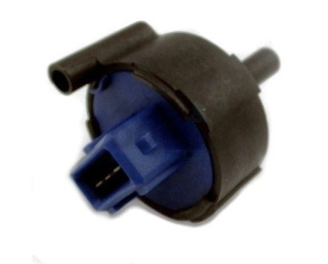 Water sensor, fuel supply