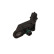 Sensor, intake manifold pressure