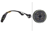 Knock Sensor 6PG 009 108-301 Hella