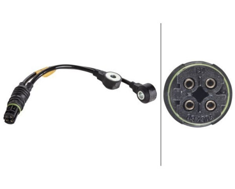 Knock Sensor 6PG 009 108-301 Hella