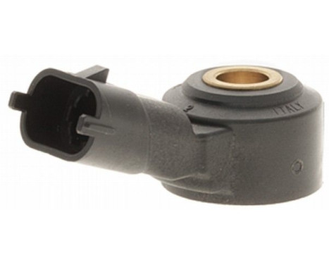 Knock Sensor 6PG 009 108-591 Hella