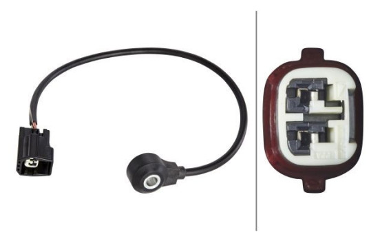 Knock Sensor 6PG 009 108-731 Hella