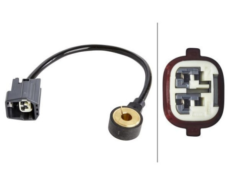 Knock Sensor 6PG 009 108-741 Hella