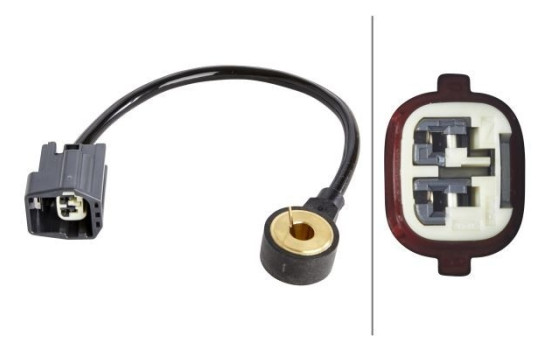 Knock Sensor 6PG 009 108-741 Hella