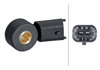 Knock sensor 6PG 013 114-591 Hella