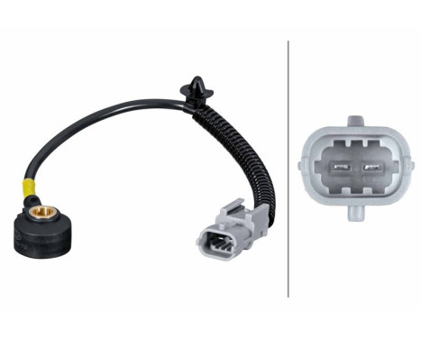 Knock sensor 6PG 013 114-721 Hella