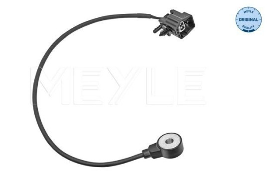 knock sensor