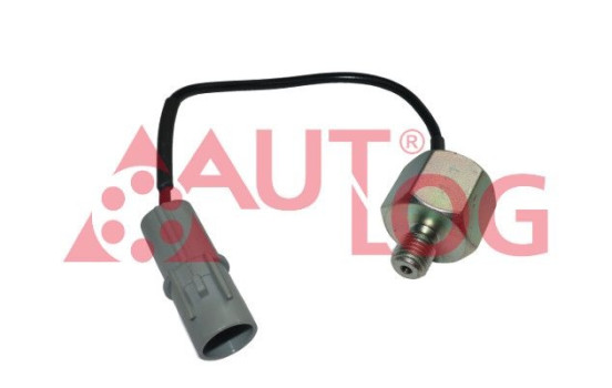 Knock sensor