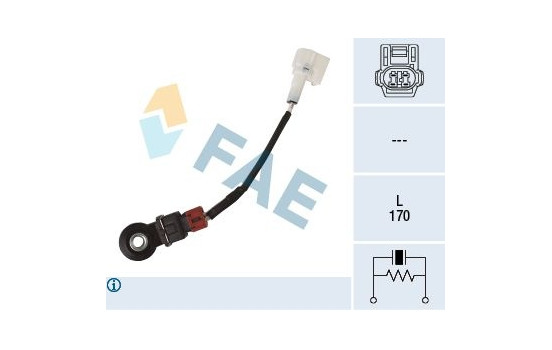 Knock sensor
