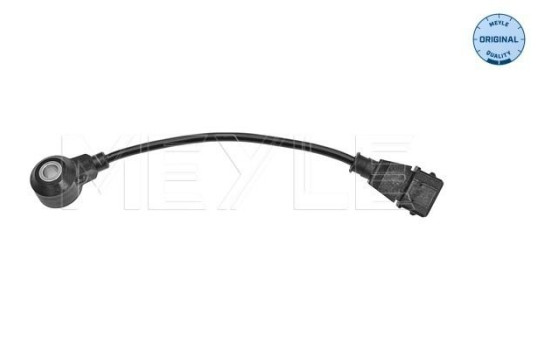 Knock sensor