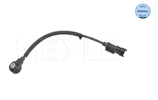 Knock sensor