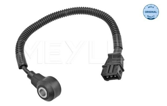 Knock sensor