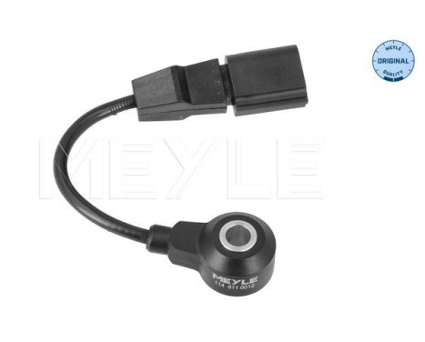 Knock sensor