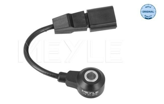 Knock sensor