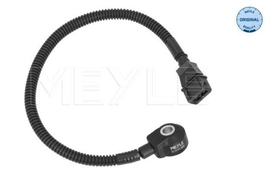 Knock sensor