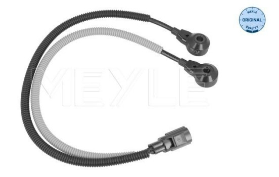 Knock sensor
