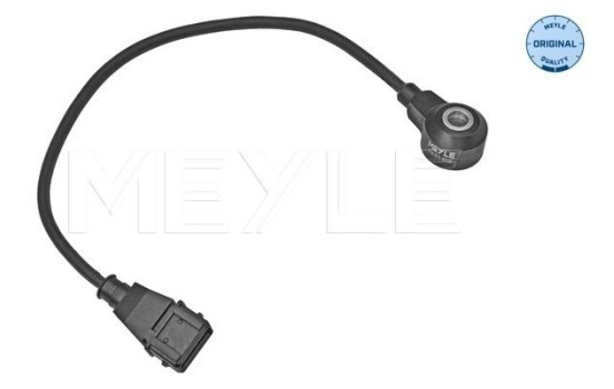 Knock sensor