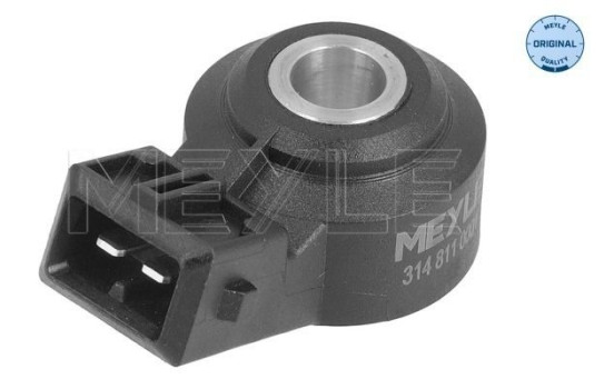 Knock sensor
