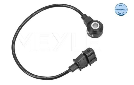 Knock sensor
