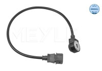 Knock sensor