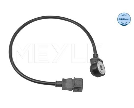 Knock sensor