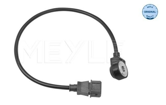 Knock sensor