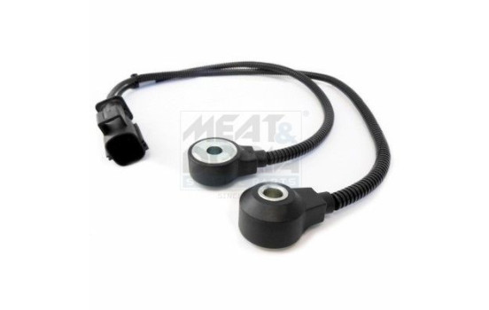 Knock sensor