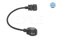 Knock sensor