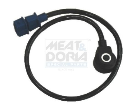 Knock Sensor