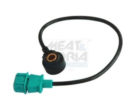 Knock sensor