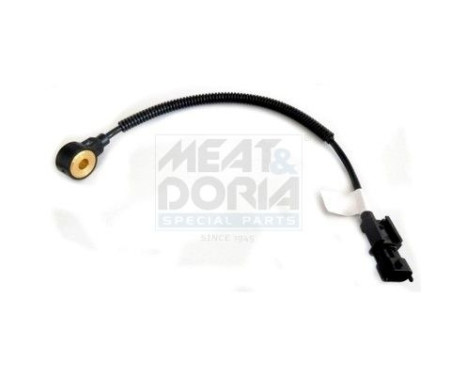 Knock Sensor