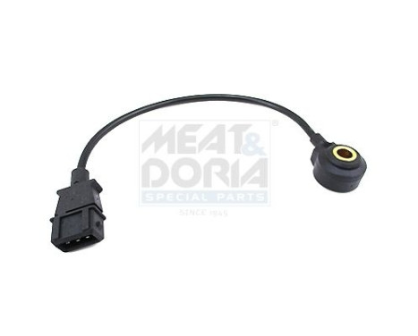 Knock sensor