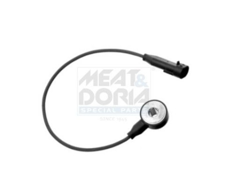 Knock Sensor