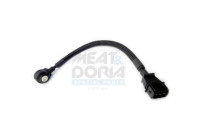 Knock sensor