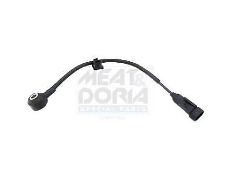Knock sensor