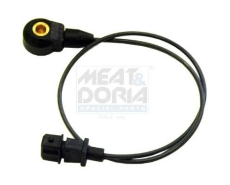 Knock sensor
