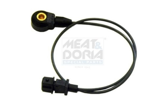 Knock sensor
