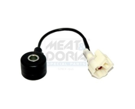 Knock sensor