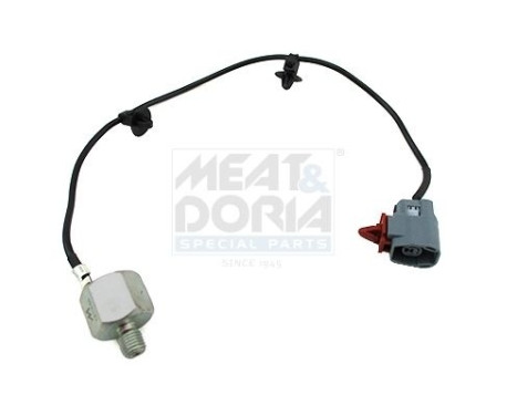 Knock Sensor