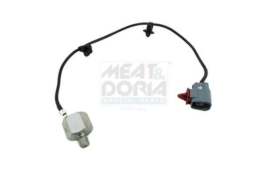 Knock Sensor