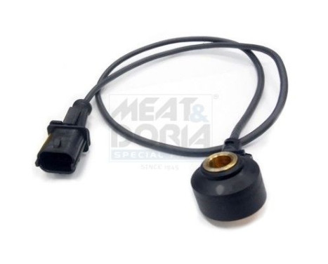 Knock sensor