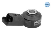 Knock sensor