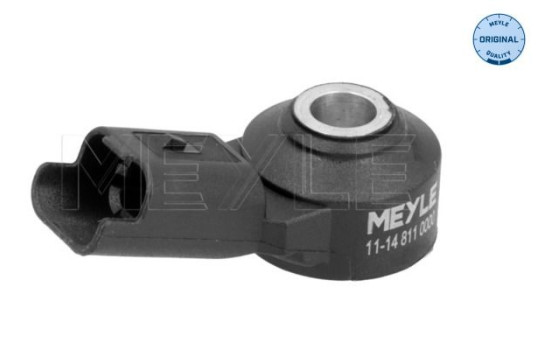 Knock sensor