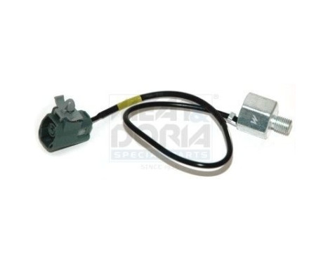 Knock sensor