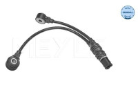 Knock sensor