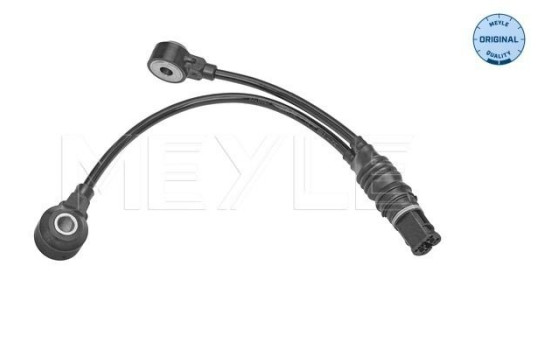 Knock sensor