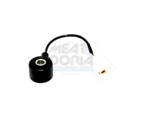 Knock sensor