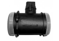 Air mass meter